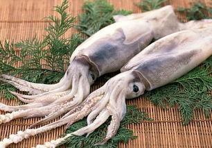 鱿鱼最新爆料视频在线观看,揭秘最新爆料视频，剧情反转引热议