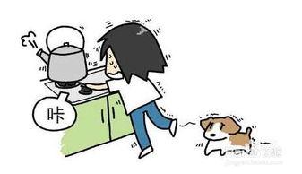 重庆地震爆料最新消息,多地震感明显,官方紧急响应中 第1张 重庆地震爆料最新消息,多地震感明显,官方紧急响应中 第1张